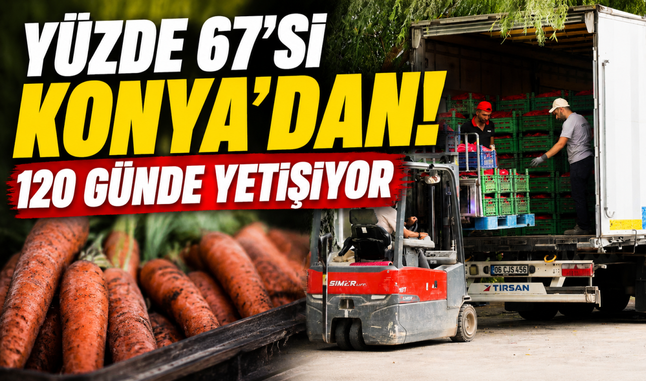 Yüzde 67’si Konya’dan! 120 günde yetişiyor 