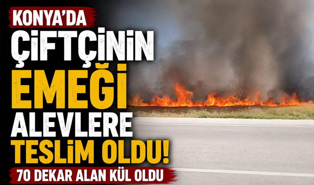 Konya’da çiftçinin emeği alevlere teslim oldu! 70 dekar alan kül oldu