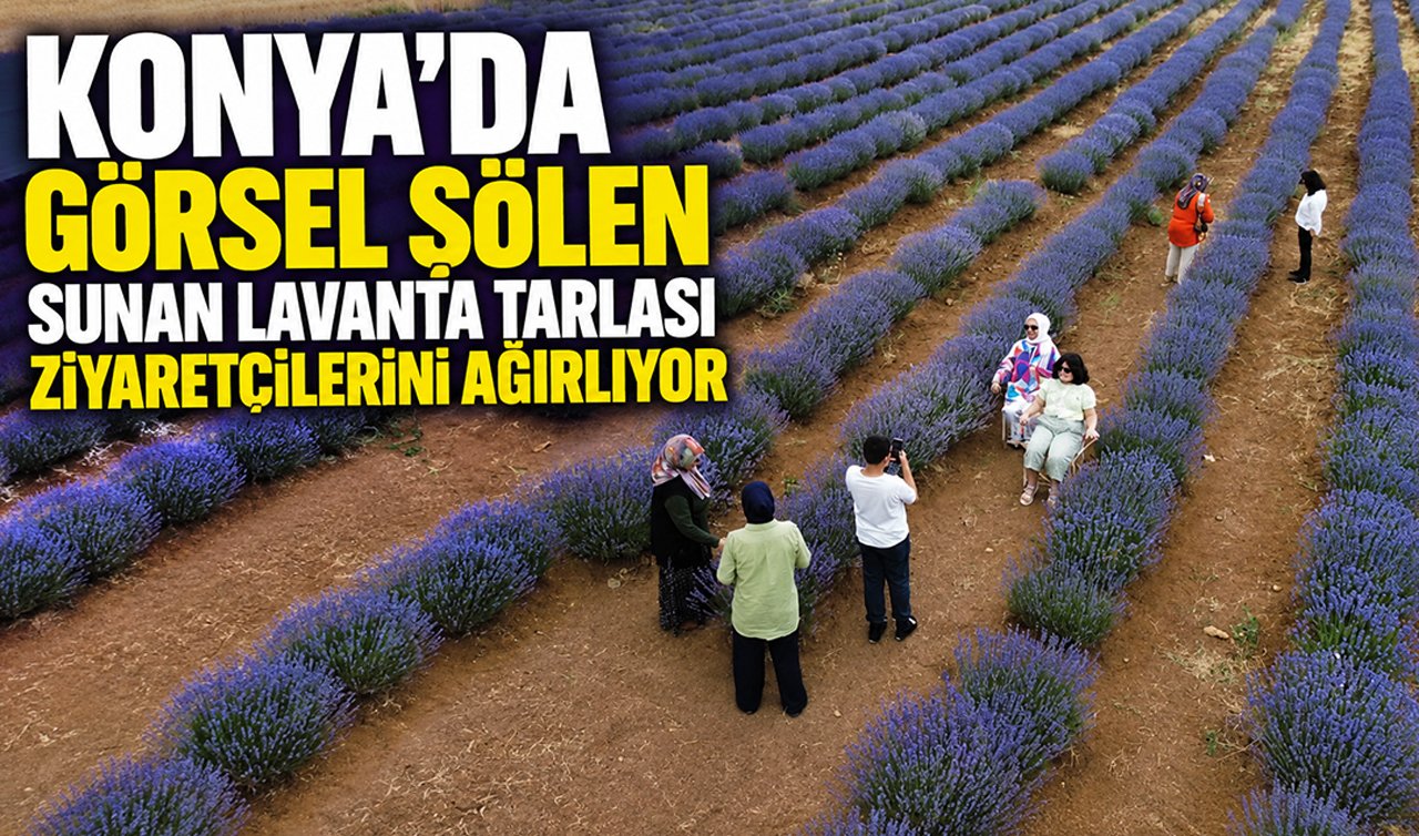 Konya’da görsel şölen sunan lavanta tarlası ziyaretçilerini ağırlıyor