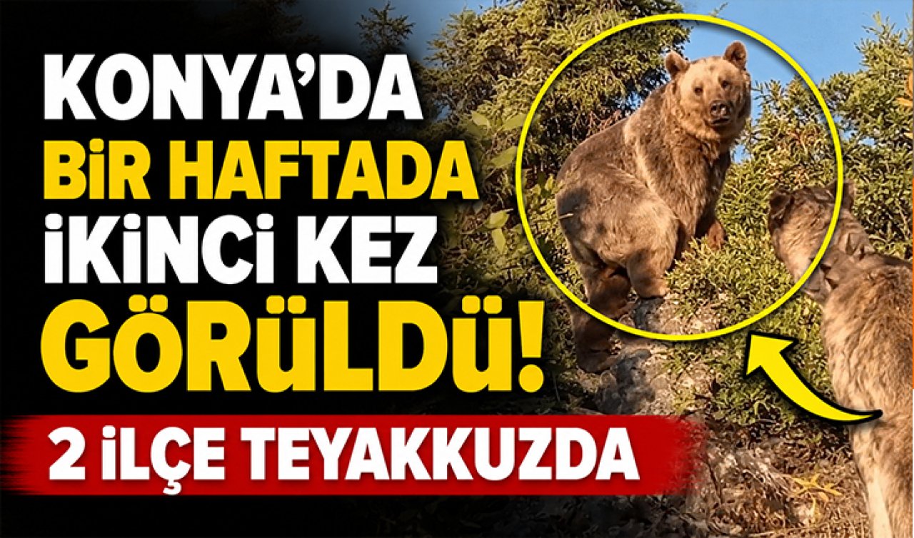 Konya’da bir haftada ikinci kez görüldü! 2 ilçe teyakkuzda