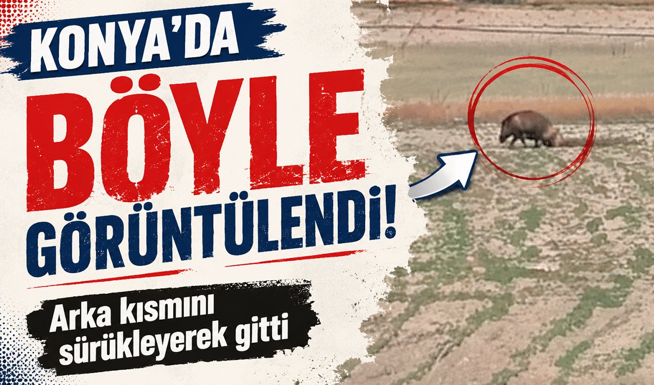 Konya’da böyle görüntülendi! Arka kısmını sürükleyerek gitti