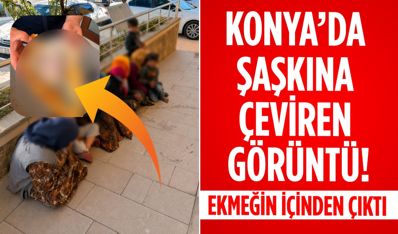 Konya’da şaşkına çeviren görüntü! Ekmeğin içinden çıktı 