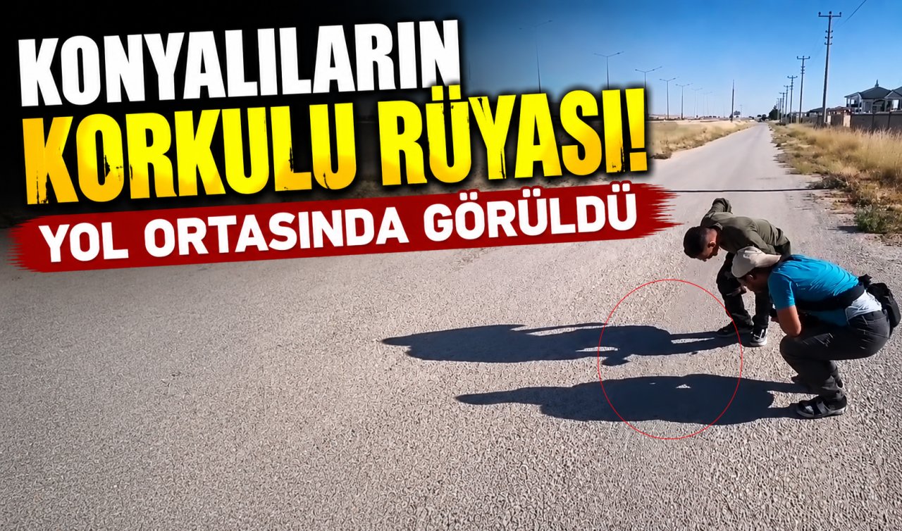 Konyalıların korkulu rüyası! Yol ortasında görüldü 