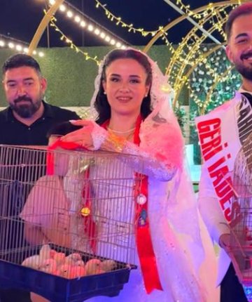 Düğünde altın yerine 100 civciv taktı