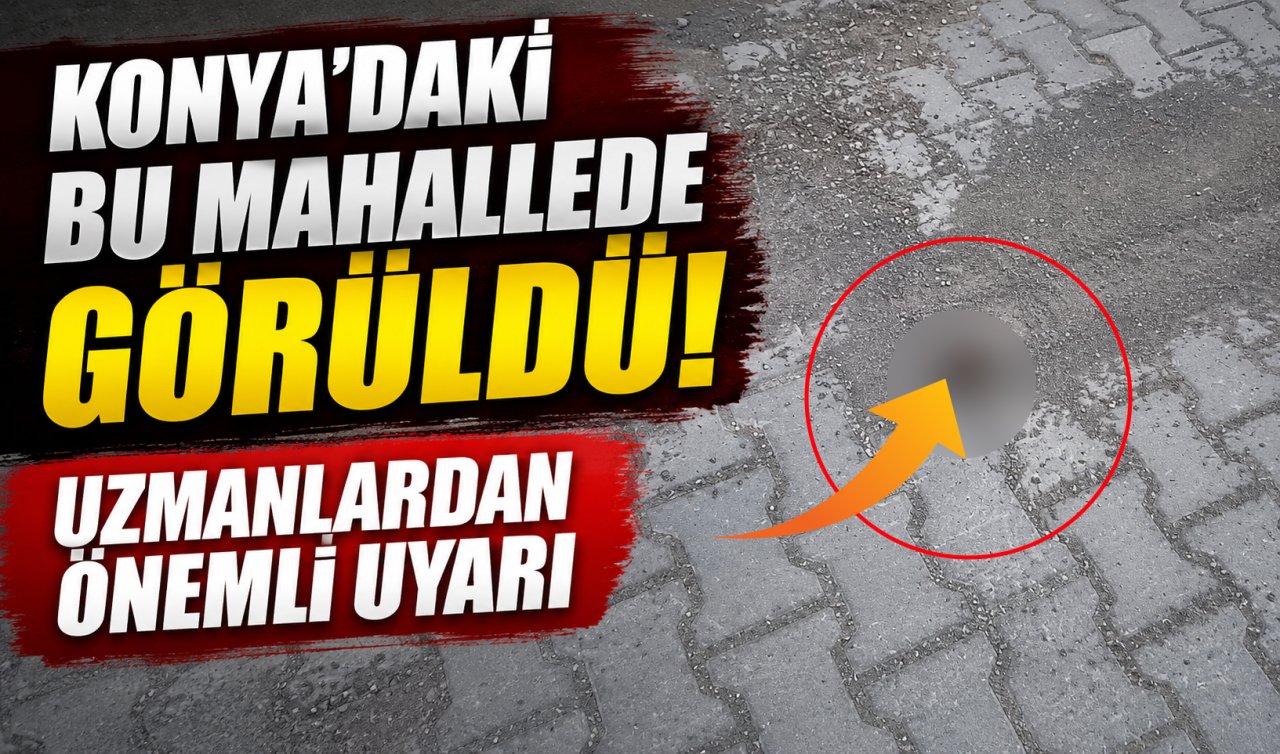 Konya’daki bu mahallede görüldü! Uzmanlardan önemli uyarı 