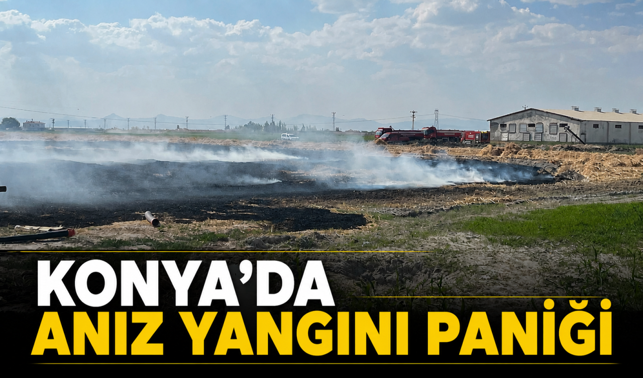 Konya’da anız yangını paniği