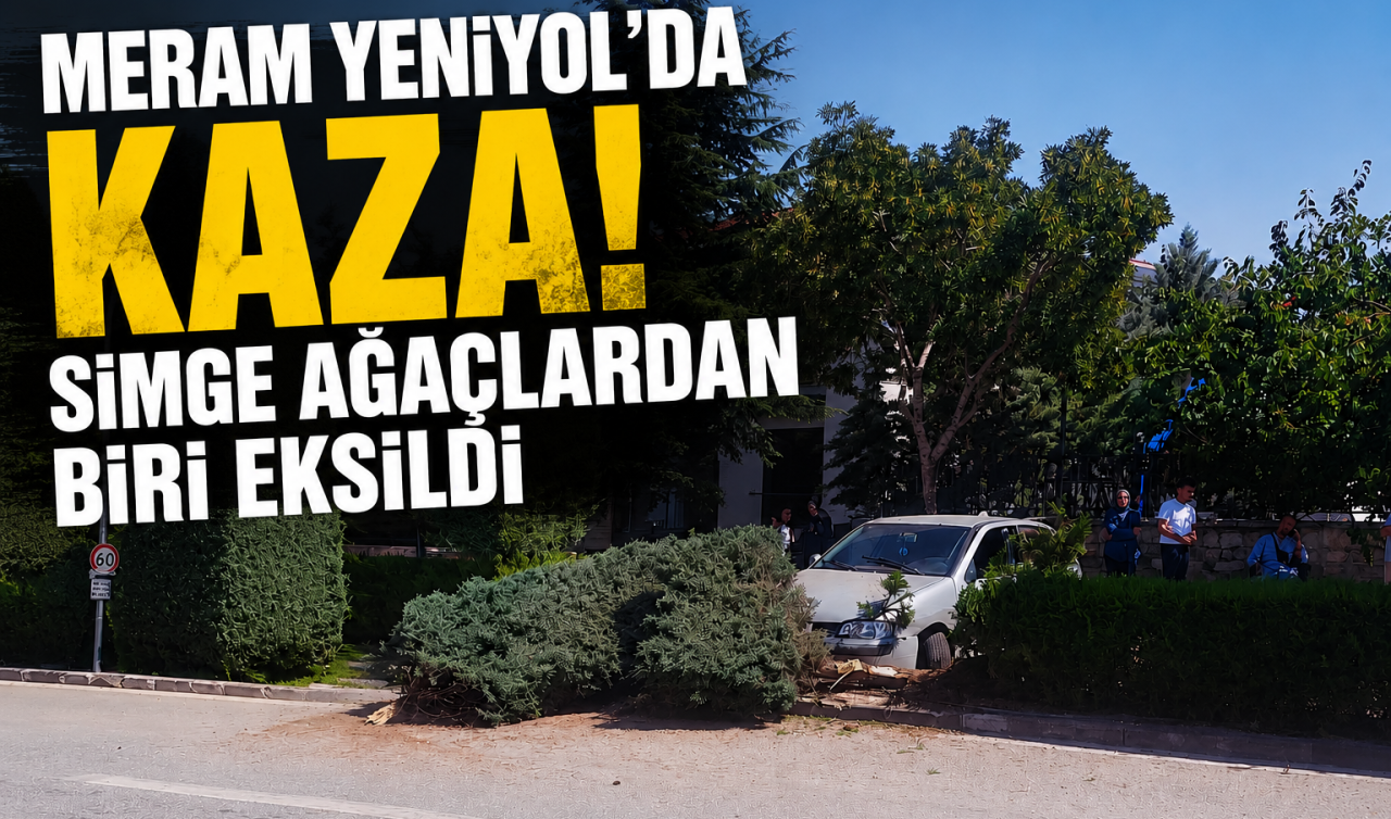 Meram Yeniyol’da kaza! Simge ağaçlardan biri eksildi