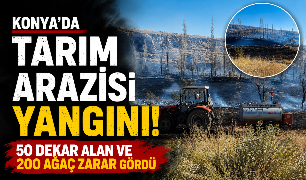 Konya’da tarım arazisi yangını! 50 dekar alan ve 200 ağaç zarar gördü 