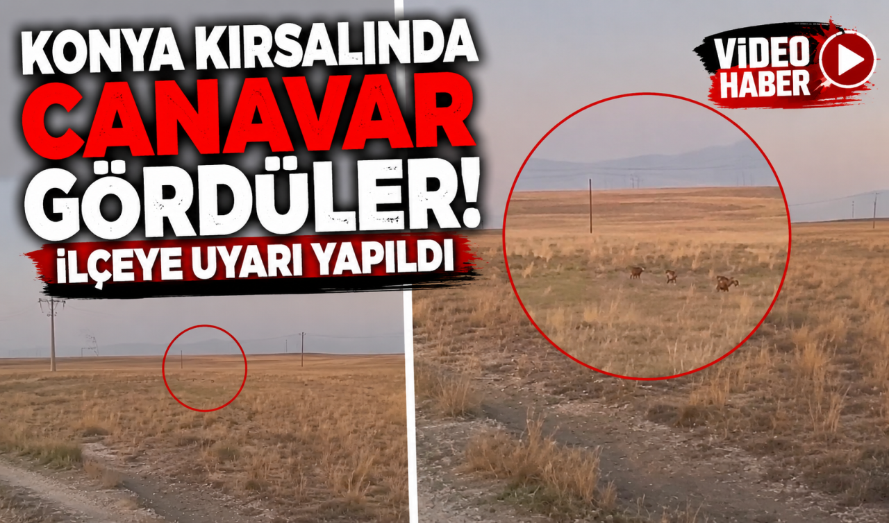 Konya kırsalında canavar gördüler! İlçeye uyarı yapıldı