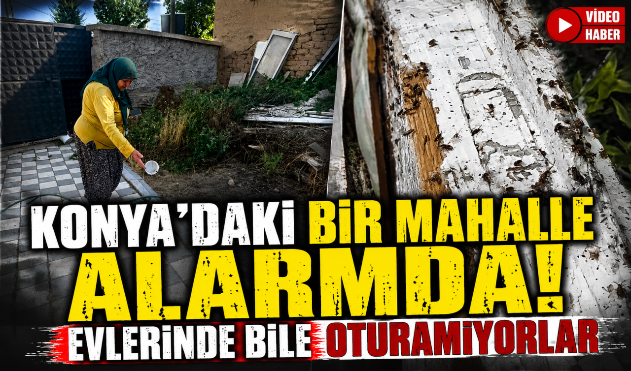 Konya’daki bir mahalle alarmda! Evlerinde bile oturamıyorlar 