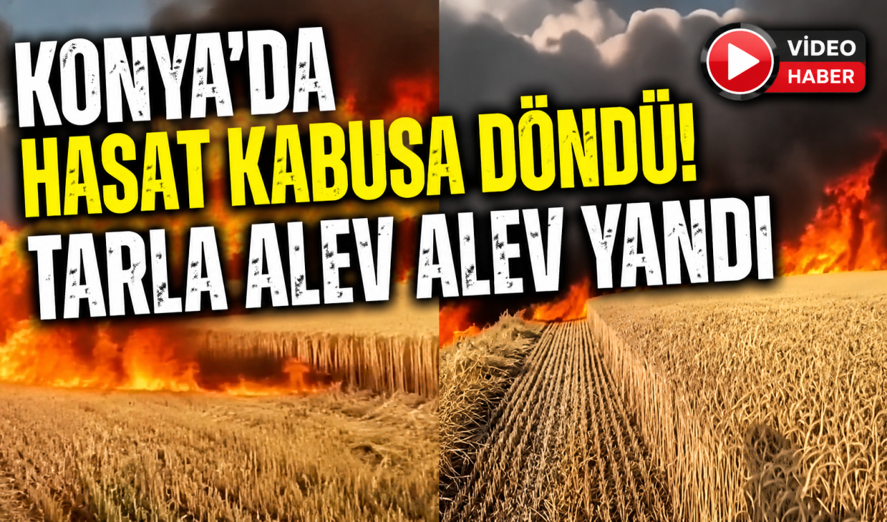 Konya’da hasat kabusa döndü! Tarla alev alev yandı 