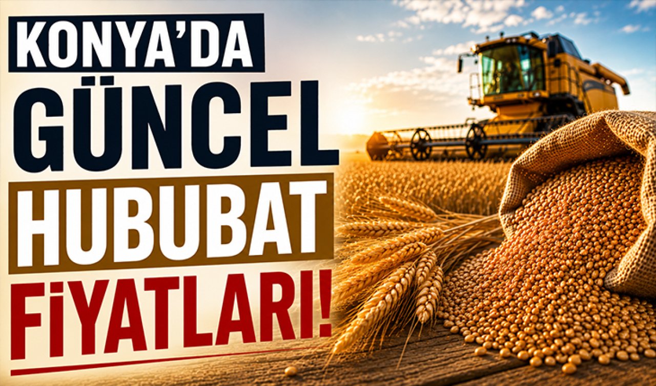 Konya’da güncel hububat fiyatları! Buğday, arpa ve mısırda son durum