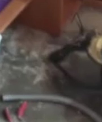 Eve giren 2 metrelik yılanı görenler hayrete düştü