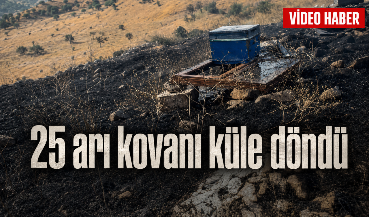 25 arı kovanı küle döndü