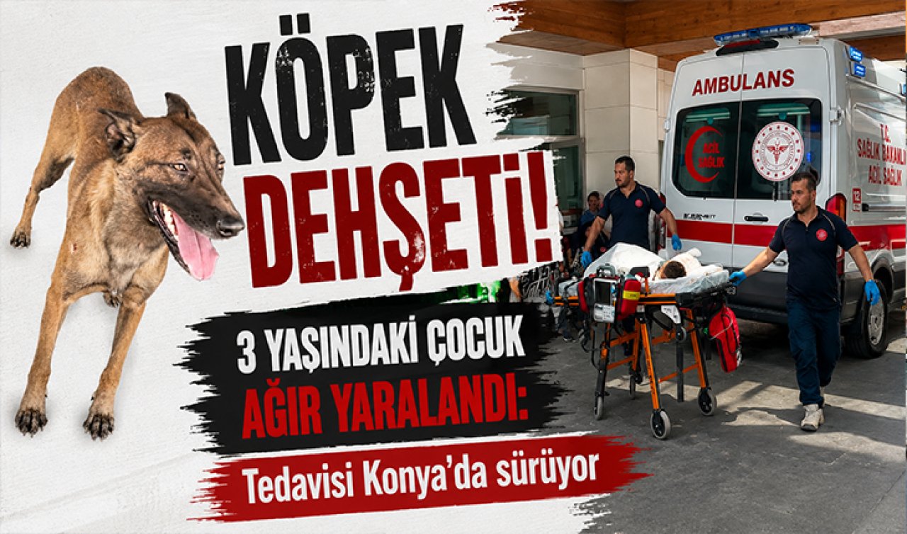 Köpek dehşeti! 3 yaşındaki çocuk ağır yaralandı: Tedavisi Konya’da sürüyor