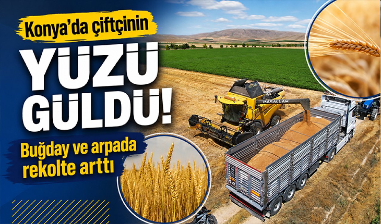 Konya’da çiftçinin yüzü güldü! Buğday ve arpada rekolte arttı