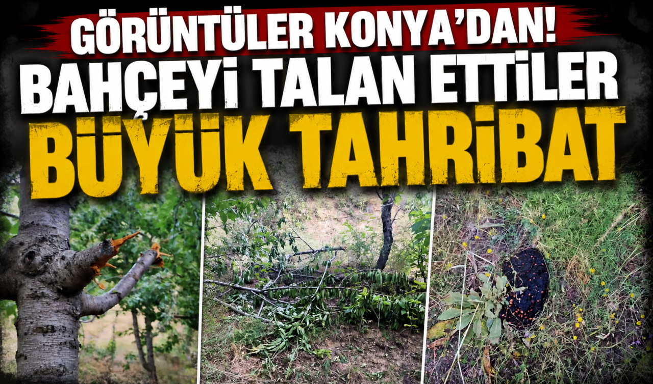 Görüntüler Konya’dan! Bahçeyi talan ettiler 