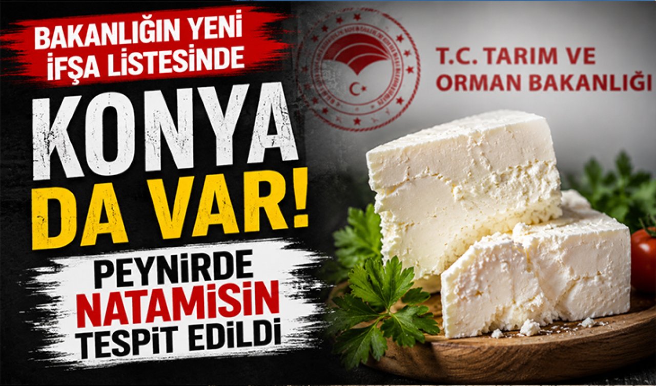 Bakanlığın yeni ifşa listesinde Konya da var! Peynirde natamisin tespit edildi