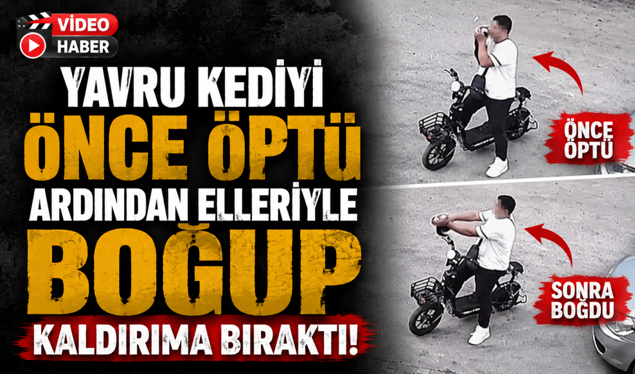 Yavru kediyi önce öptü ardından elleriyle boğup kaldırıma bıraktı 