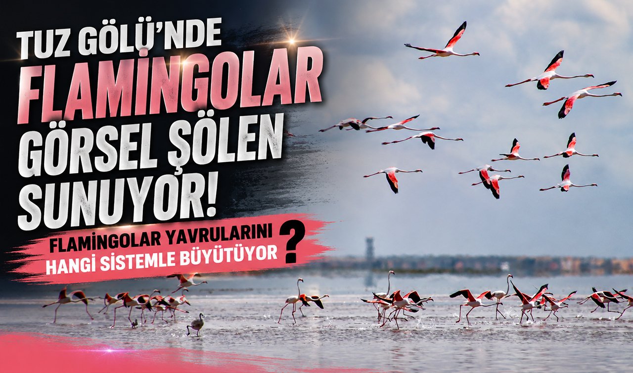 Konya sınırındaki gölde görsel şölen! 