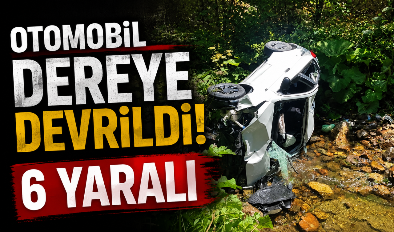 Otomobil dereye devrildi: 6 yaralı