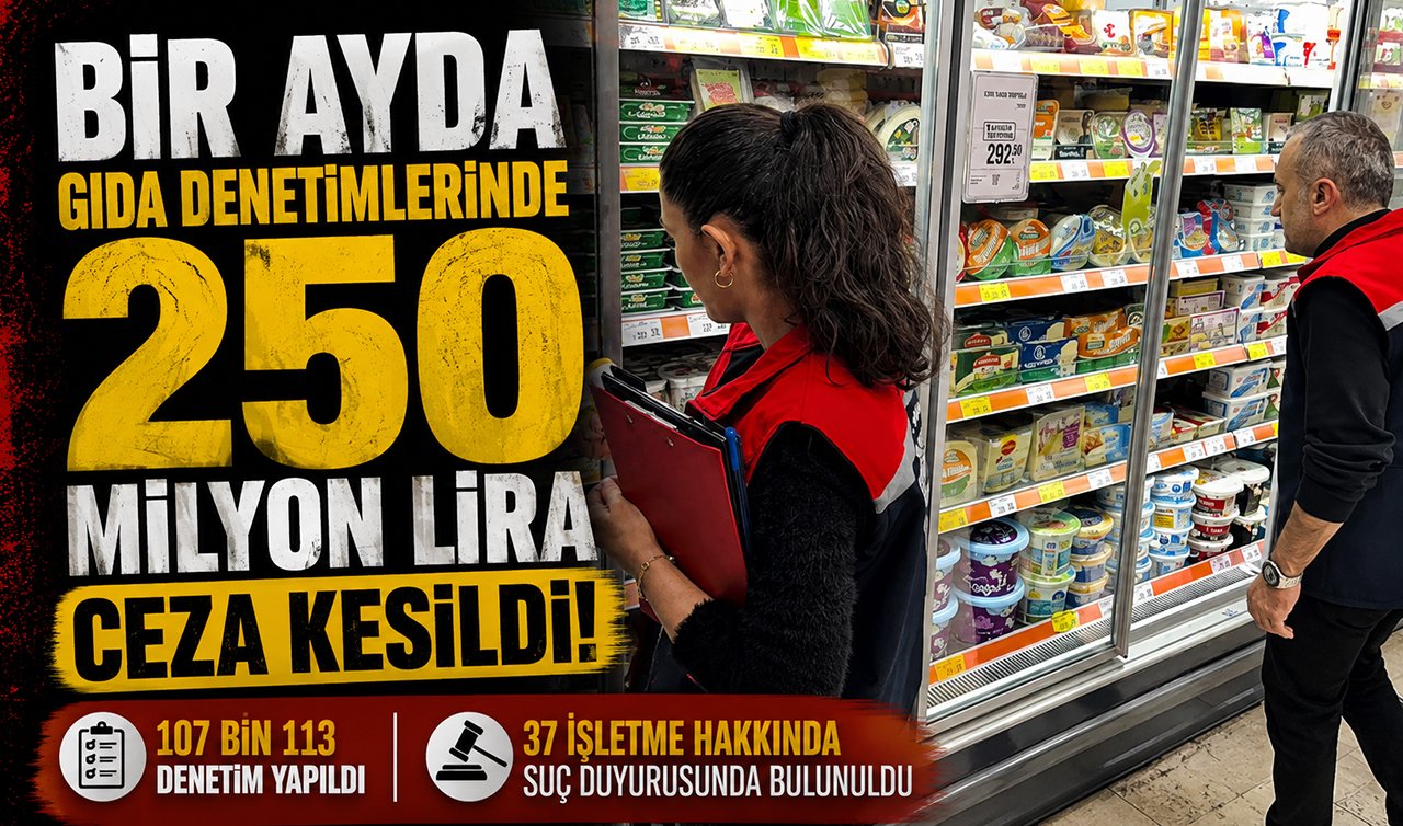 Bir ayda 107 bin gıda denetimi! 250 milyon lira ceza kesildi