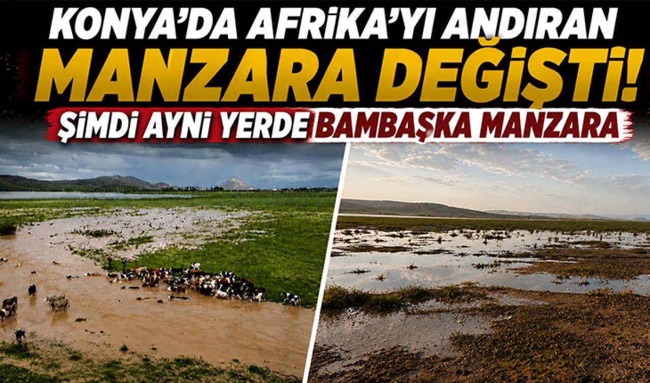 Konya’da Afrika’yı andıran manzara değişti! Şimdi aynı yerde bambaşka manzara