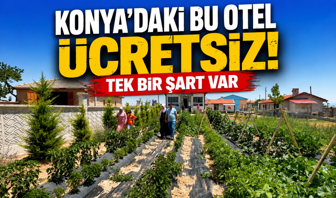 Konya’daki bu otel ücretsiz! Tek bir şart var 