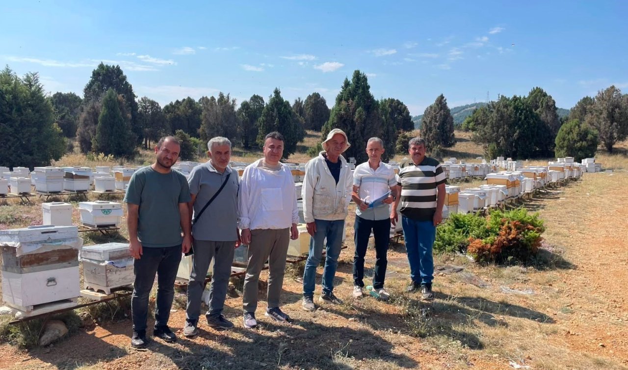 Beyşehir’de arılı kovanlar tek tek sayılıyor
