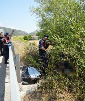 Otomobilin çarptığı bisikletli ağacın altında ölü bulundu