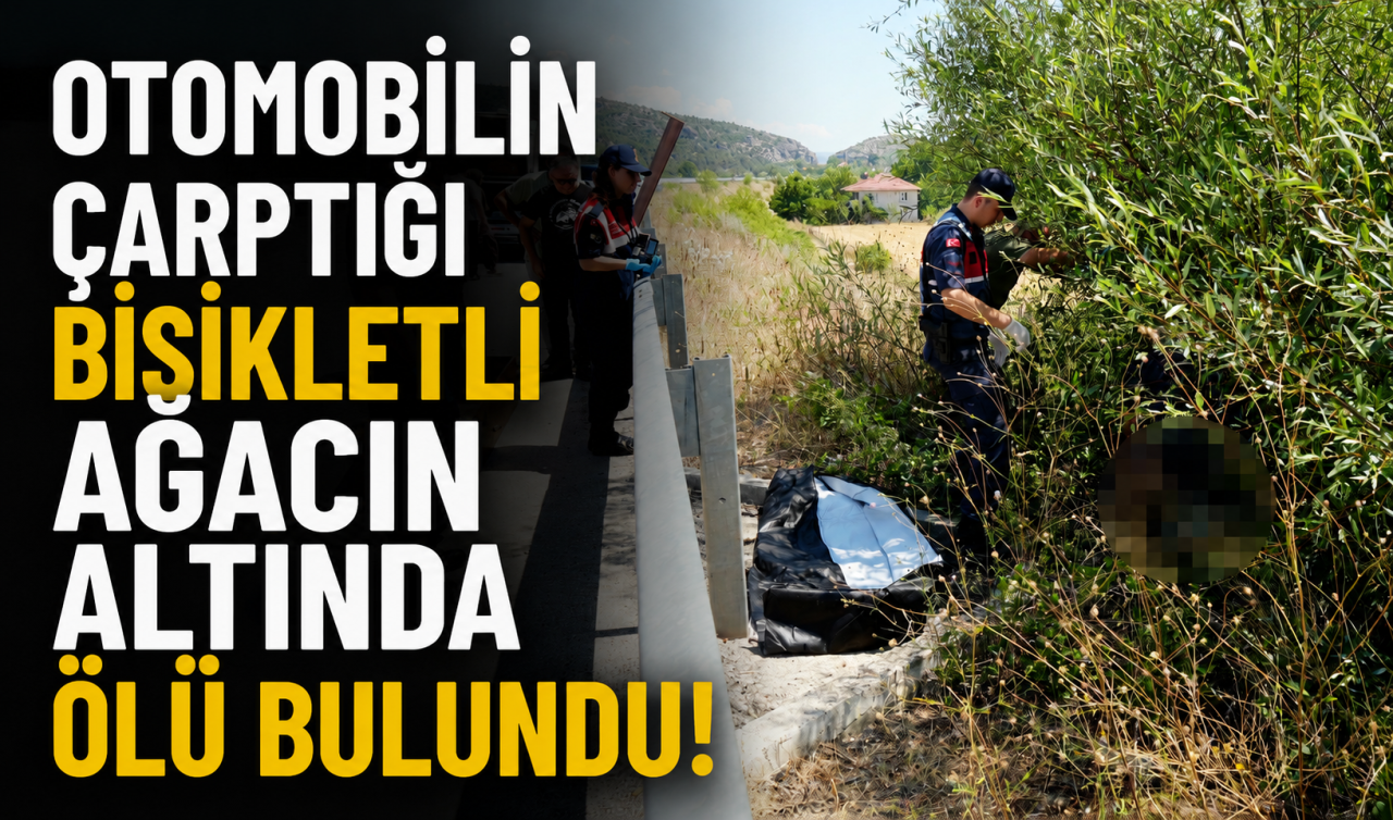 Otomobilin çarptığı bisikletli ağacın altında ölü bulundu