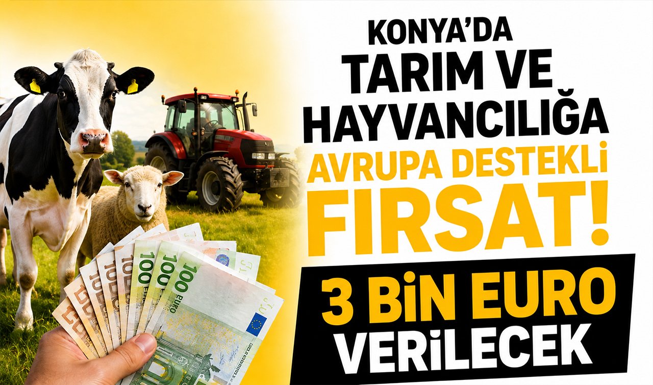 Konya’da tarım ve hayvancılığa Avrupa destekli fırsat! 3 bin Euro verilecek
