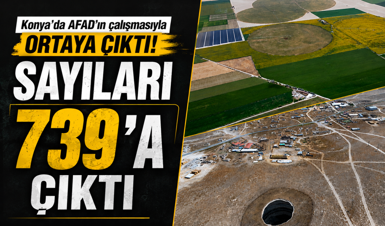 Konya’da AFAD’ın çalışmasıyla ortaya çıktı! Sayıları 739’a çıktı