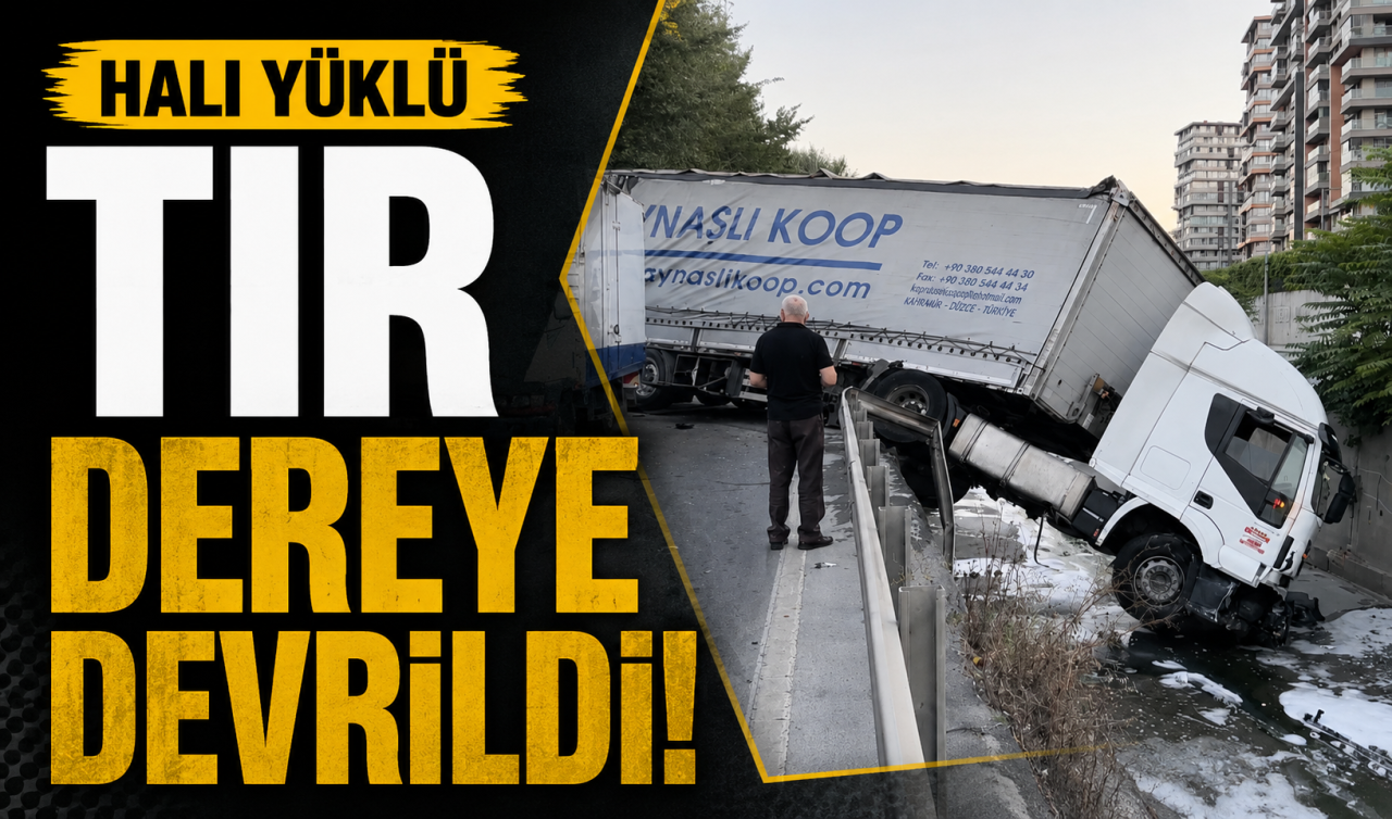 Halı yüklü tır dereye devrildi